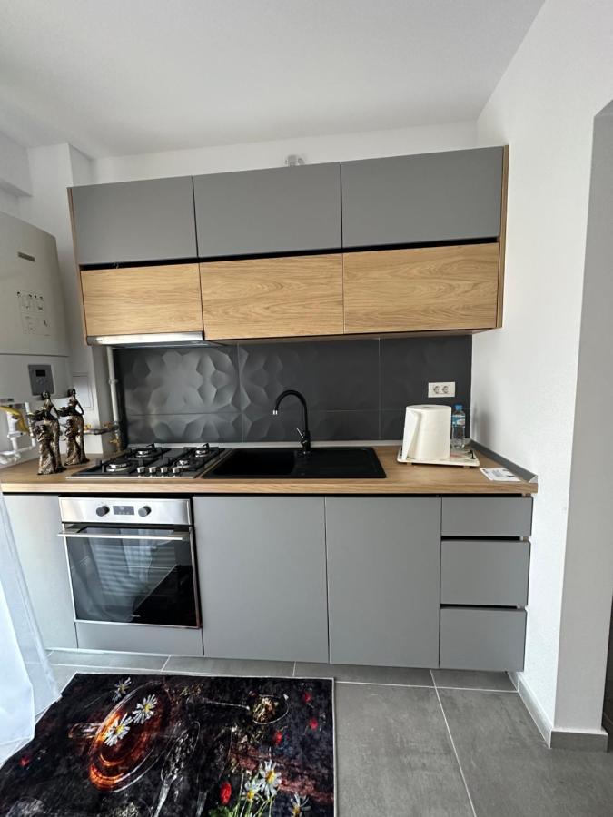 Apartamente Arinis Гура-Гуморулуй Экстерьер фото